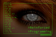 Reinforced Programming