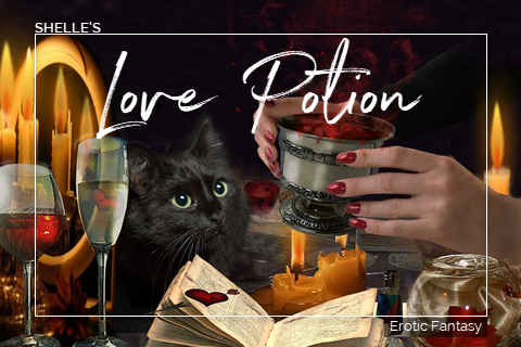 Love Potion by Shelle Rivers