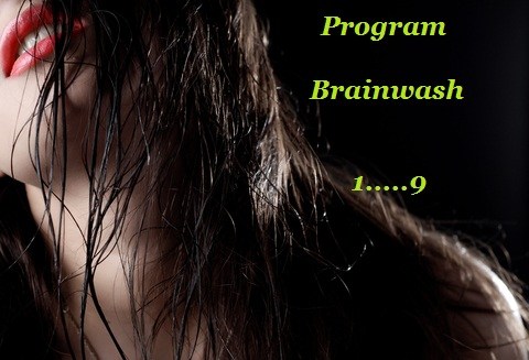 Brainwashed I Series by Shelle Rivers