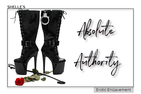 Absolute Authority | Shelle Rivers