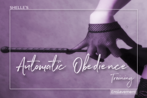 Automatic Obedience Training | Shelle Rivers