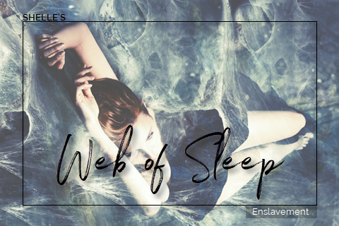 Web Of Sleep | Shelle Rivers