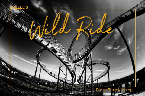 Wild Ride by Shelle Rivers