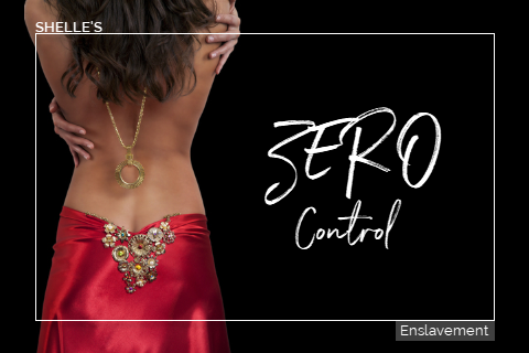 Zero Control by Shelle Rivers